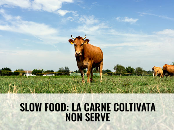 Slow Food sulla carne